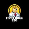 First Doge CEO (FDOGECEO)