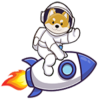 Floki Rocket (RLOKI) Floki Rocket (RLOKI)