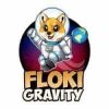 FlokiGravity (FLOKIG) FlokiGravity (FLOKIG)
