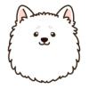 FLOOF (FLOOF) FLOOF (FLOOF)