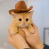fred the kitty (fred) fred the kitty (fred)