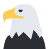 FREE Shayne Coplan (EAGLE) FREE Shayne Coplan (EAGLE)