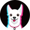 FYP INU (FYP) FYP INU (FYP)