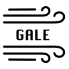 Gale Network (GALE) Gale Network (GALE)
