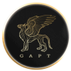 GAPTT (GAPT) GAPTT (GAPT)