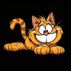Garfield Cat (GARFIELD)