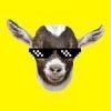 Goated (GOAT)
