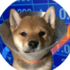 gogowifcone (GOGO) gogowifcone (GOGO)