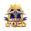 GoldMiner (GM) GoldMiner (GM)