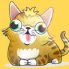 Googly Cat (GOOGLY) Googly Cat (GOOGLY)