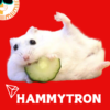 HAMMY (HAMMY)