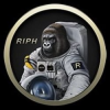 harambe-protocol-riph-coin-logo.png harambe-protocol-riph-coin-logo.png