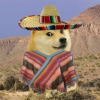 hispanic doge (DONCHO)