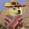 hispanic doge (DONCHO)