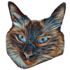 Holy Birman (HOLY) Holy Birman (HOLY)