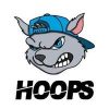 HOOPS the Squirrel (HOOPS)