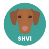 Hungarian Vizsla Inu (HVI) Hungarian Vizsla Inu (HVI)