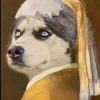 Husky Brother (HUSKY) Husky Brother (HUSKY)