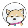 HuskyShiba (HSHIBA)