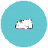 ICE BEAR TOKEN (IBT)