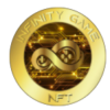 Infinity Game NFT (IGN) Infinity Game NFT (IGN)