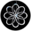 InterLink ($INTL) InterLink ($INTL)