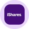 iShares Core S&P Total US Stock Market ETF (Ondo Tokenized ETF) (ITOTON)