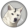 Jindoge (JINDOGE) Jindoge (JINDOGE)