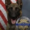 K-9 Killed in Shootout (TITAN)