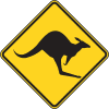 Kangaroo Token (KNGO) Kangaroo Token (KNGO)