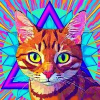 Kattens (CATN) Kattens (CATN)