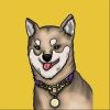 Kiku Inu (KINU) Kiku Inu (KINU)