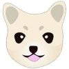 Kishu Inu (KISHU) Kishu Inu (KISHU)