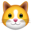 KittenFinance (KIF) KittenFinance (KIF)