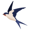 Koel Coin (KOEL) Koel Coin (KOEL)