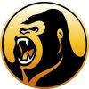 Kong Defi (KONG)
