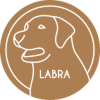 Labra Finance (LABRA)