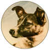 Laika Coin (LAIKA) Laika Coin (LAIKA)
