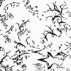 Lethe (LETHE) Lethe (LETHE)