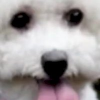 littlewhitebich-bitch-coin-logo-v2.png littlewhitebich-bitch-coin-logo-v2.png