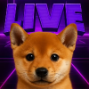 LIVE DOGE TILL 100M ($DOGE) LIVE DOGE TILL 100M ($DOGE)