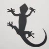 Lizard (LIZARD) Lizard (LIZARD)