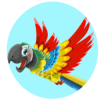 Magic Birds Token (MBT) Magic Birds Token (MBT)