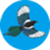 MagpieCoin (MGPC) MagpieCoin (MGPC)