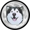 Malamute Finance (MALLY) Malamute Finance (MALLY)