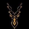 Markhor Meta (MM) Markhor Meta (MM)