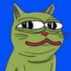 miao the cat (MIAO) miao the cat (MIAO)