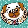 Milo CEO (MILOCEO) Milo CEO (MILOCEO)