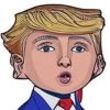 Mini Donald (BARRON)