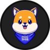 mini SHIB (MSHIB)